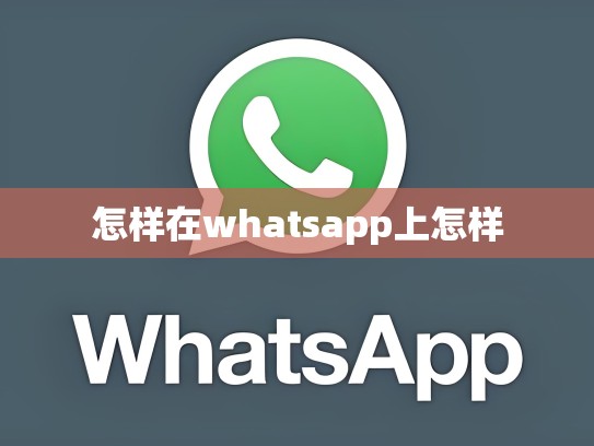 怎样在whatsapp上怎样