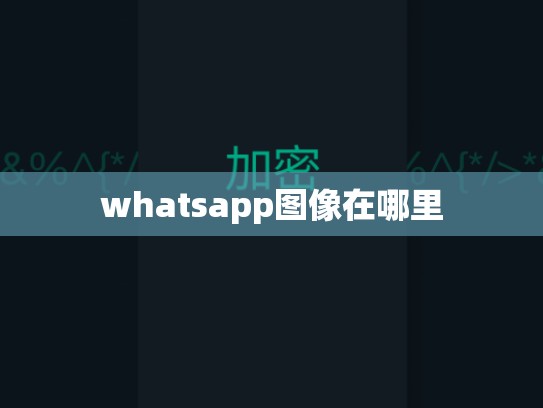 whatsapp图像在哪里