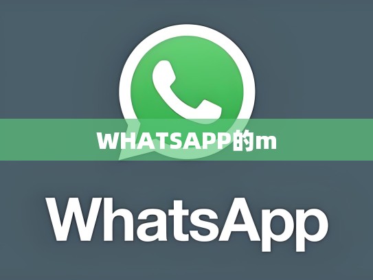 WHATSAPP的m