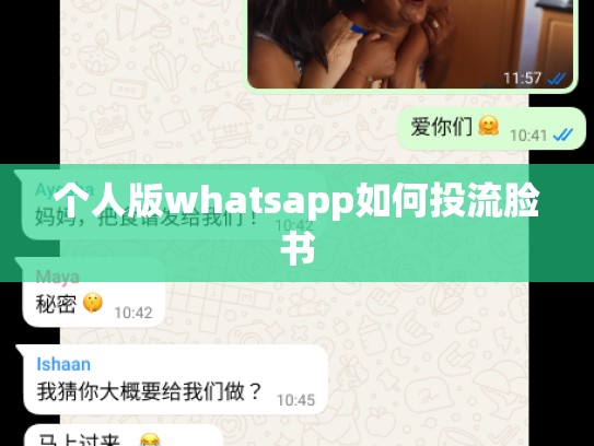 个人版whatsapp如何投流脸书