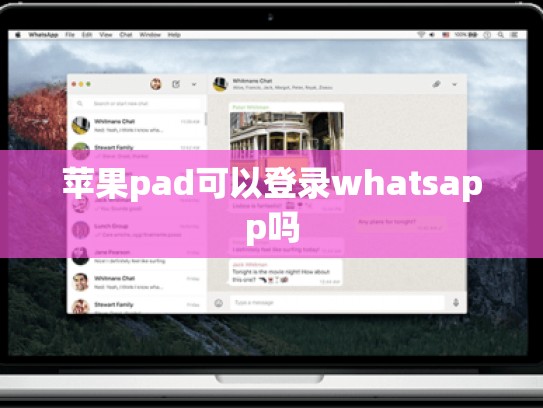 苹果pad可以登录whatsapp吗