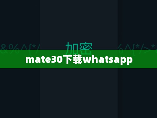 mate30下载whatsapp
