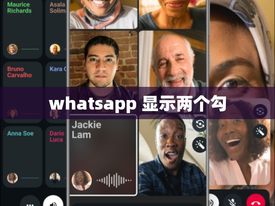 whatsapp 显示两个勾