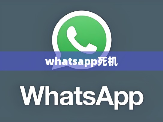 whatsapp死机