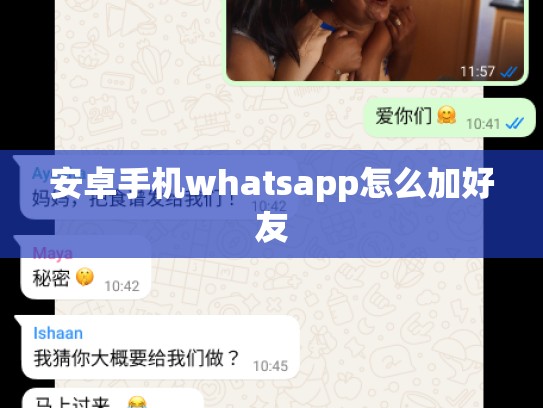 安卓手机whatsapp怎么加好友