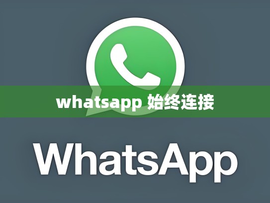 whatsapp 始终连接