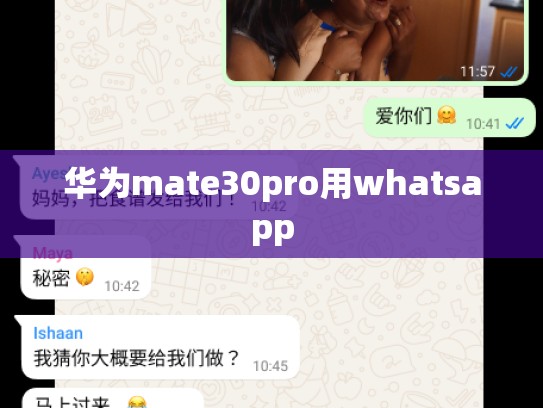 华为mate30pro用whatsapp