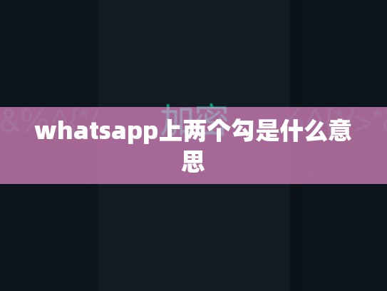 whatsapp上两个勾是什么意思