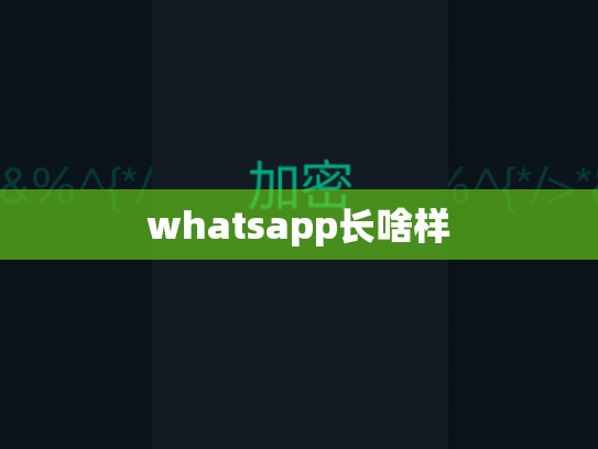 whatsapp长啥样