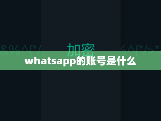 whatsapp的账号是什么