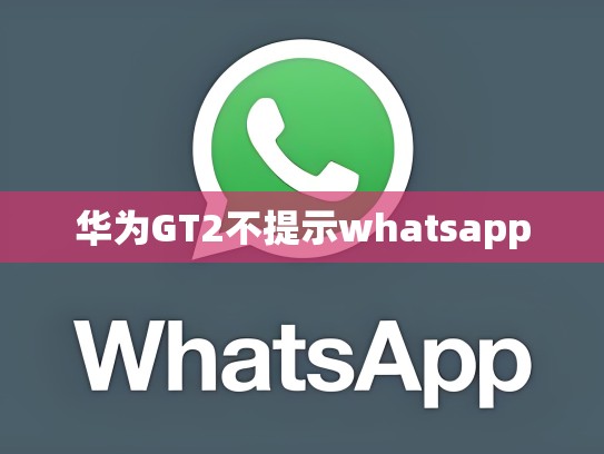 华为GT2不提示whatsapp