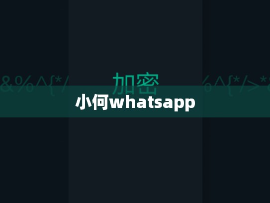 小何whatsapp