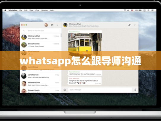 whatsapp怎么跟导师沟通
