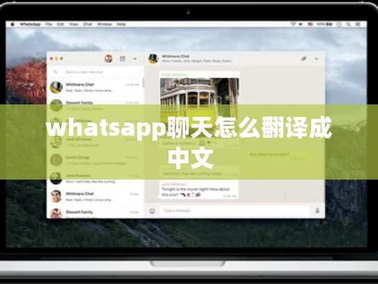 whatsapp聊天怎么翻译成中文
