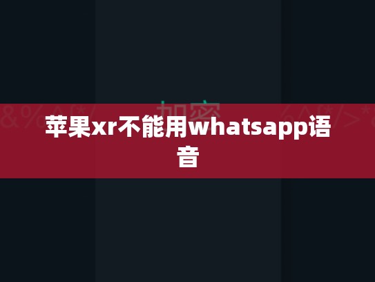苹果xr不能用whatsapp语音