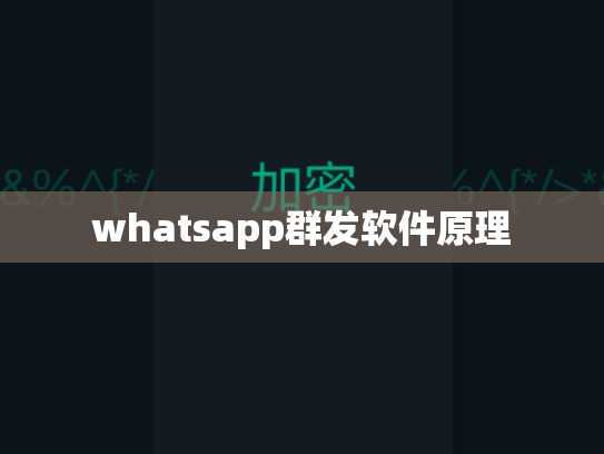 whatsapp群发软件原理