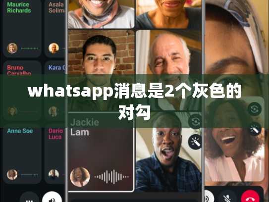 whatsapp消息是2个灰色的对勾