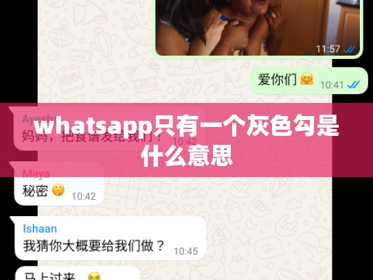 whatsapp只有一个灰色勾是什么意思