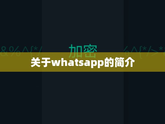 关于whatsapp的简介