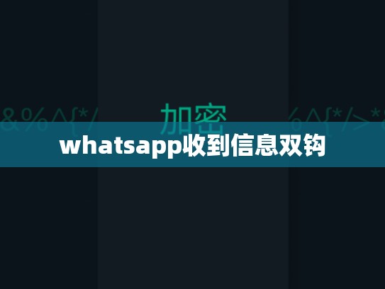 whatsapp收到信息双钩