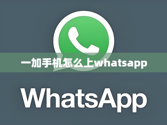 一加手机怎么上whatsapp