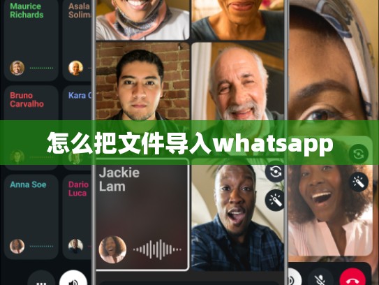 怎么把文件导入whatsapp