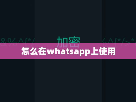 怎么在whatsapp上使用