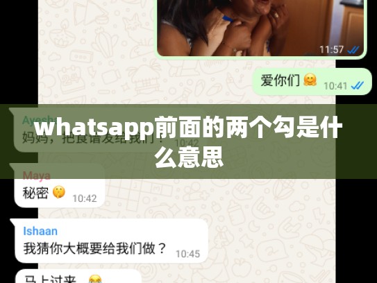 whatsapp前面的两个勾是什么意思