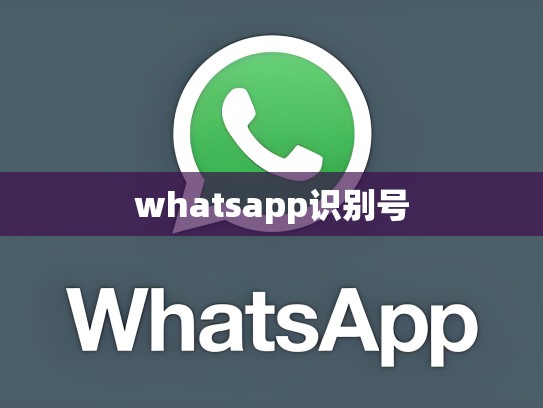 whatsapp识别号