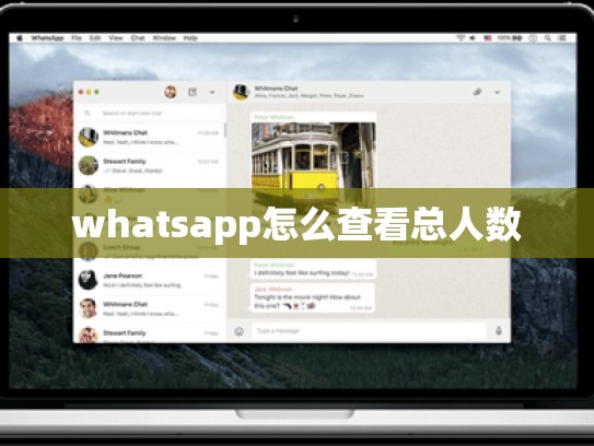 whatsapp怎么查看总人数