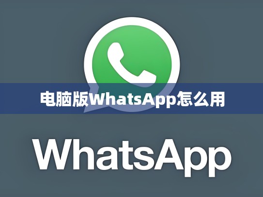 电脑版WhatsApp怎么用