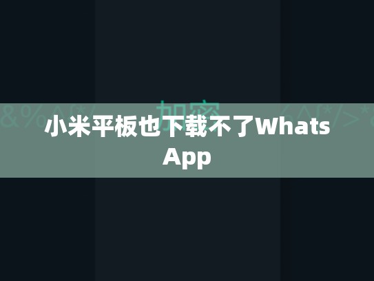 小米平板也下载不了WhatsApp