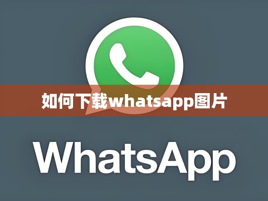 如何下载whatsapp图片
