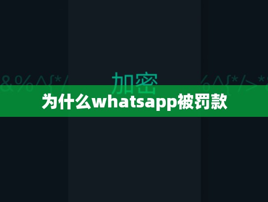 为什么whatsapp被罚款