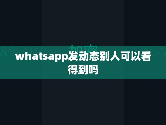 whatsapp发动态别人可以看得到吗