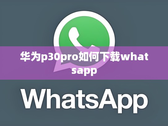 华为p30pro如何下载whatsapp