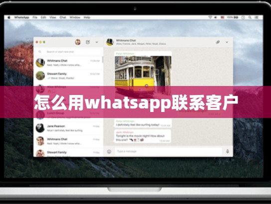 怎么用whatsapp联系客户