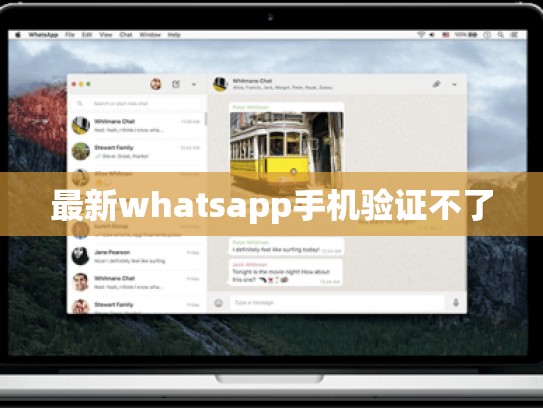 最新whatsapp手机验证不了