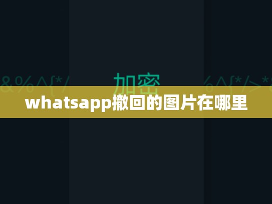 whatsapp撤回的图片在哪里