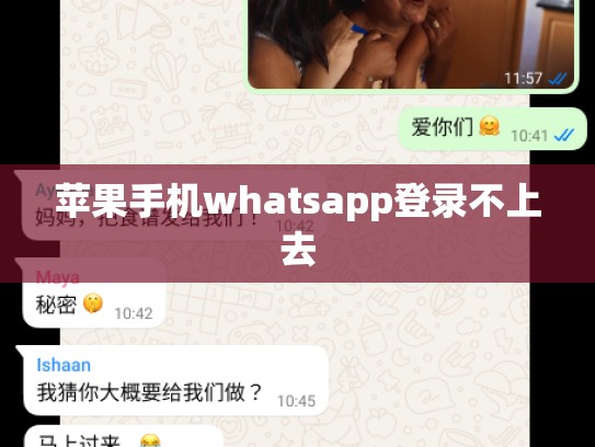 苹果手机whatsapp登录不上去