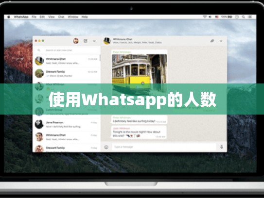 使用Whatsapp的人数