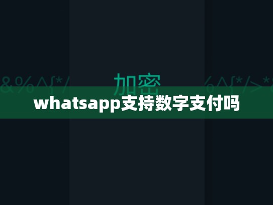 whatsapp支持数字支付吗