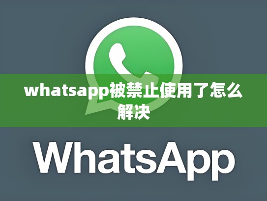 whatsapp被禁止使用了怎么解决