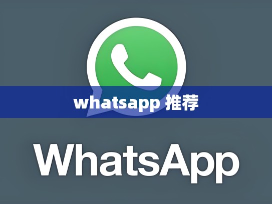 whatsapp 推荐