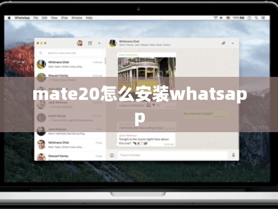 mate20怎么安装whatsapp