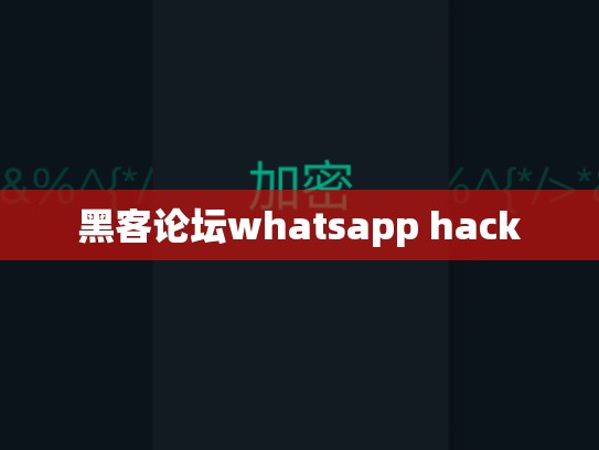 黑客论坛whatsapp hack