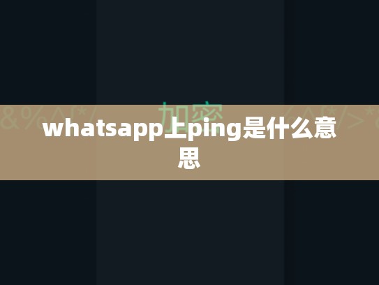 whatsapp上ping是什么意思