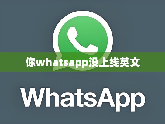 你whatsapp没上线英文