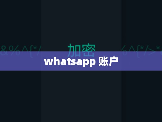 whatsapp 账户