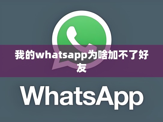 我的whatsapp为啥加不了好友